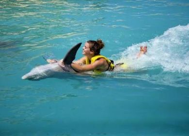 Dolphin Swim Ride All Inclusive at Cozumel 