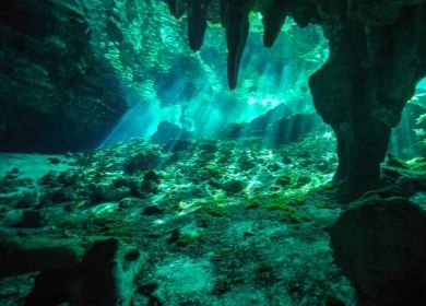 Caverns & Cenote Diving