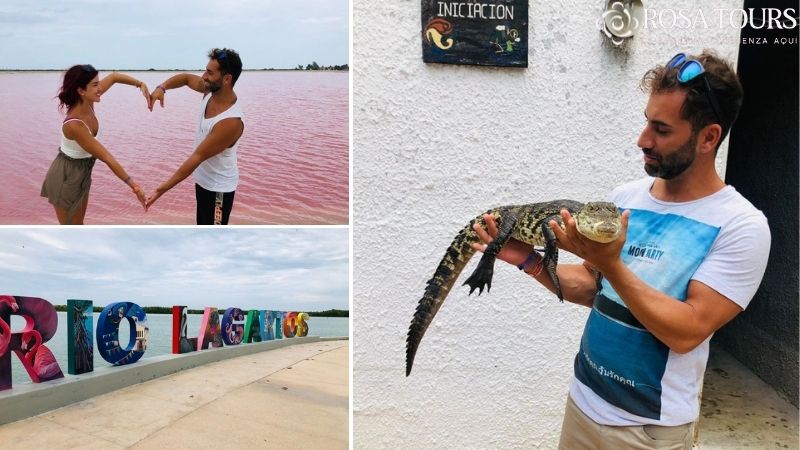 Tour Las Coloradas | Río Lagartos desde Cancún (Económico)