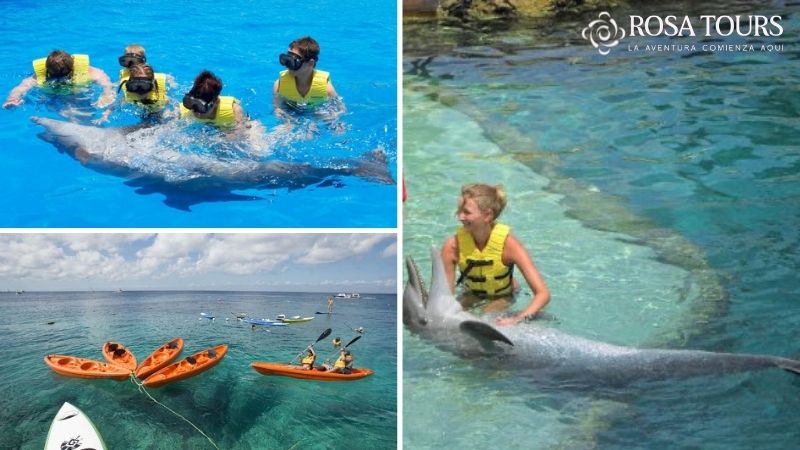 Tour Delfines Swim & Ride en Cozumel
